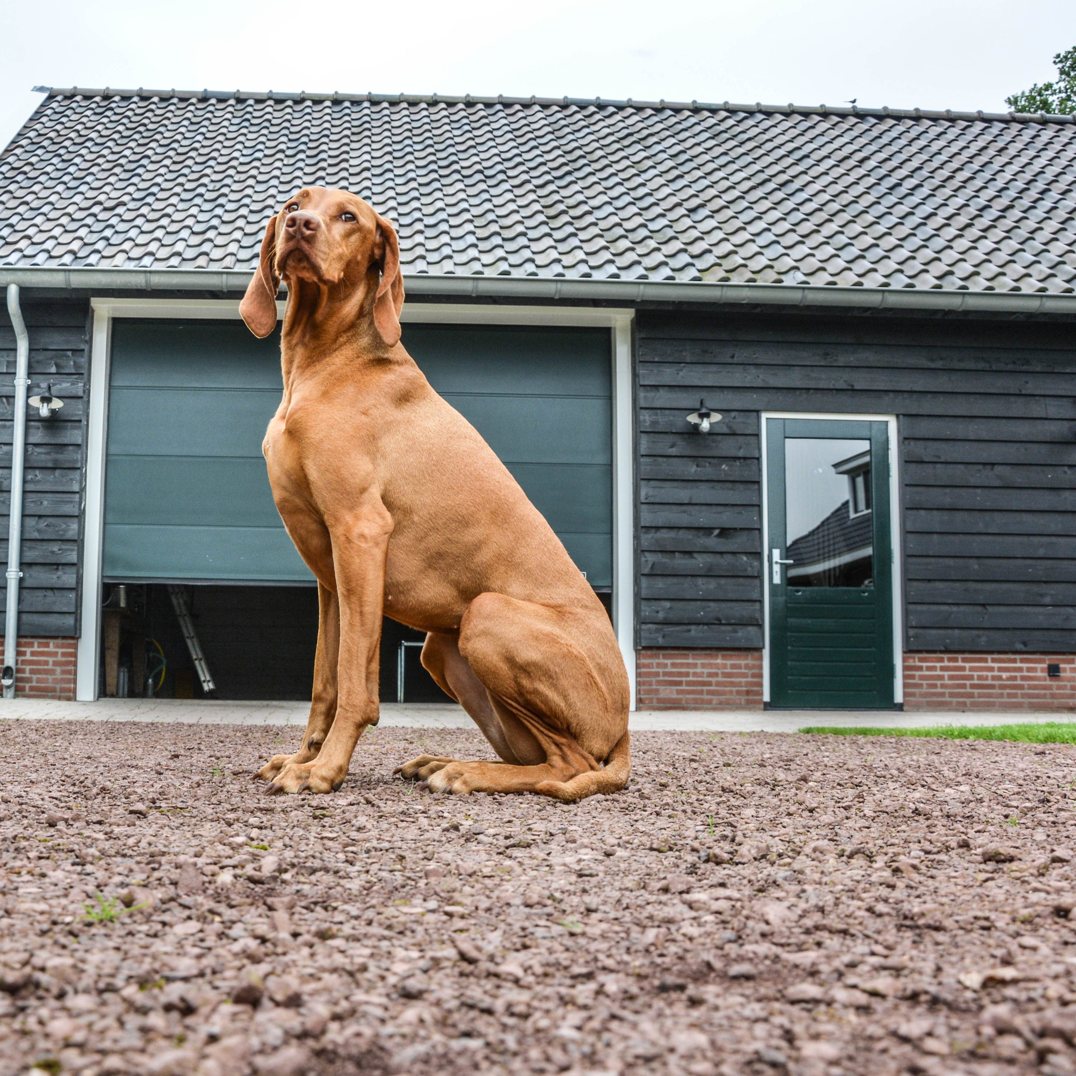 aw_garagedeuren_4
