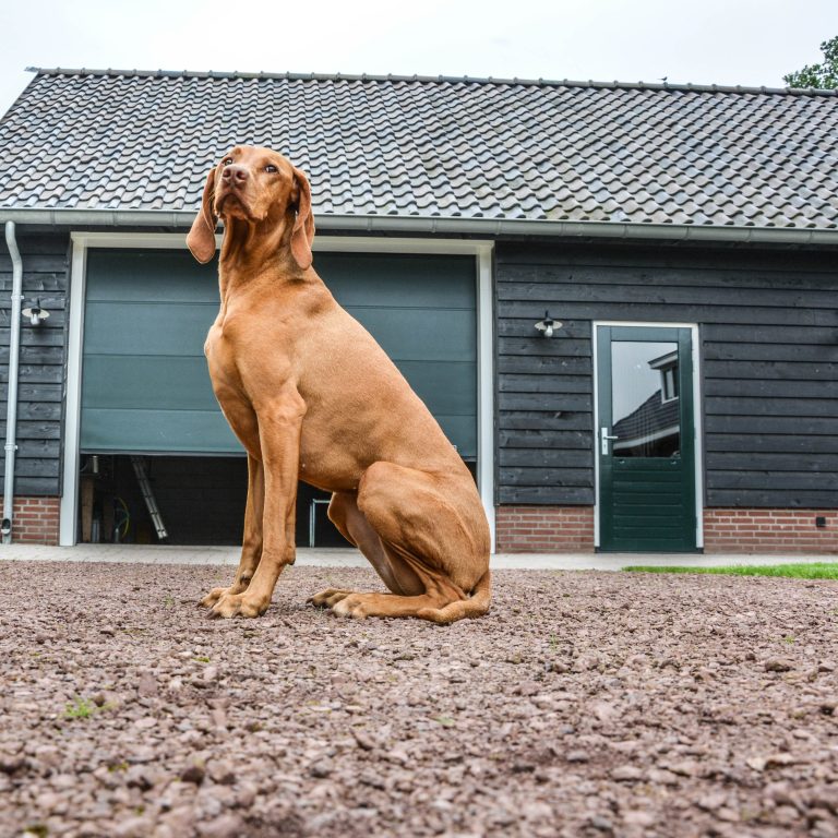 aw_garagedeuren_4