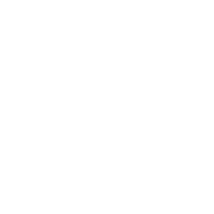 logo_budgetgps