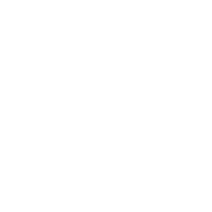 logo_fusselastic