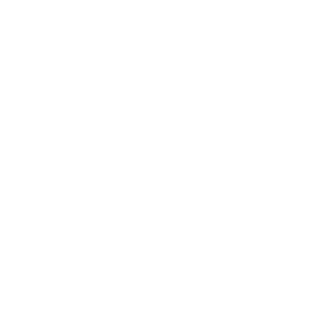 logo_intohair