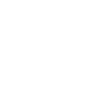 logo_leferink