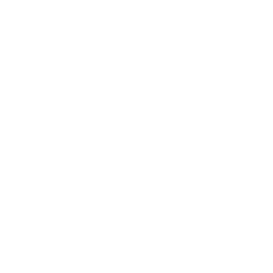 logo_meesterz