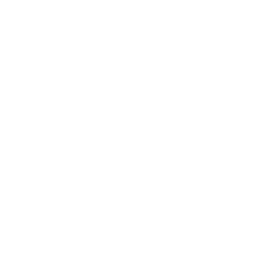 logo_palthe