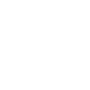logo_roelofs