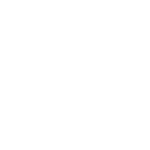 logo_sallandsmooiste