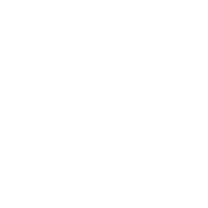 logo_sluyer_bouwwerken