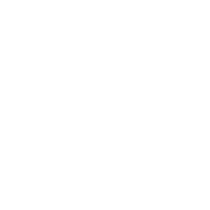 logo_vv_svvn_nijverdal
