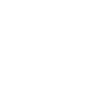 logo_woertinkvandellen